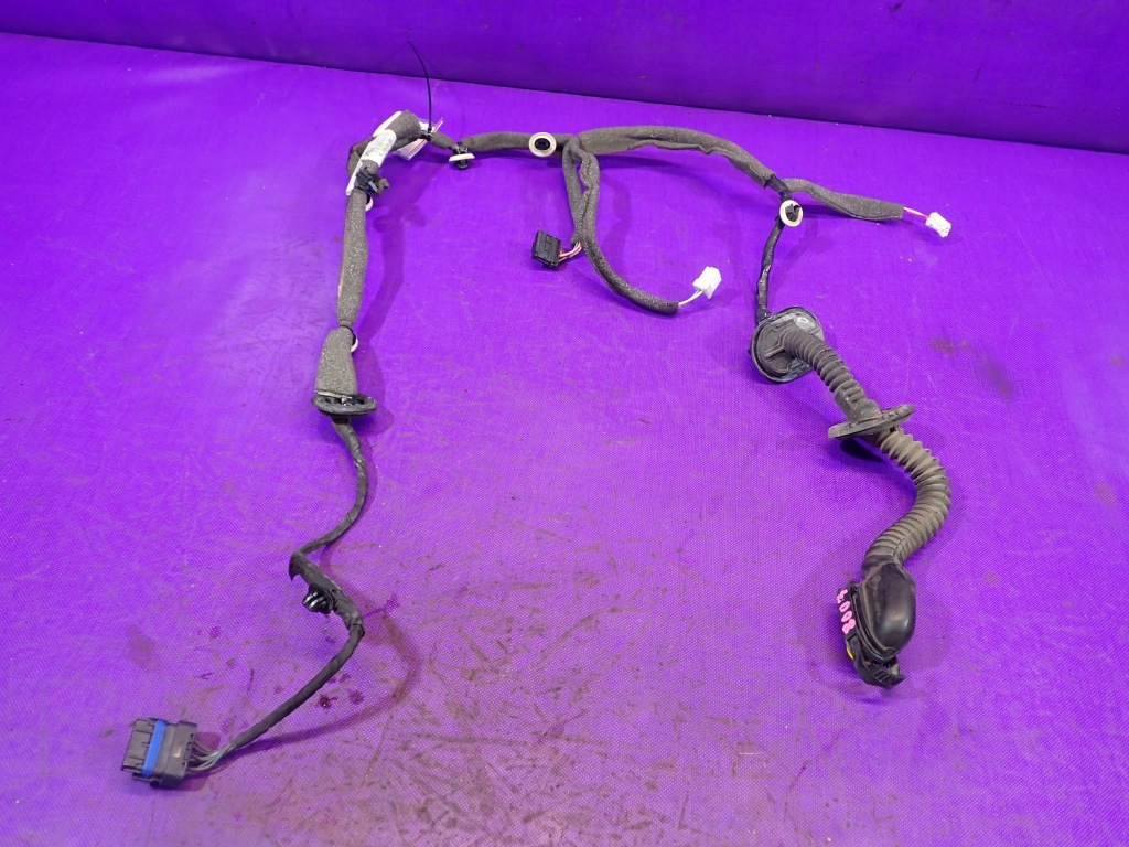 фото №1, Scenic iii 3 джгут двері лівий задня 241275076r