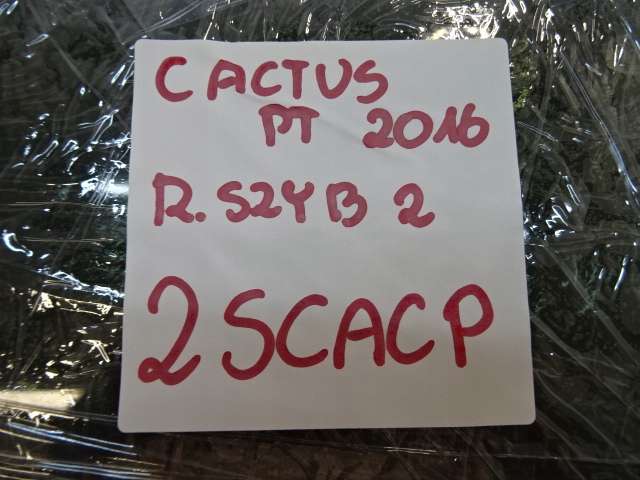 фото №13, Citroen c4 cactus стекло дверь правая задних задняя as3 2016