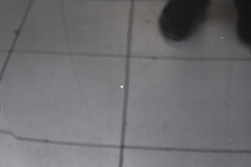 Renault megane 3 08r- капот крышка двигателя nv676 Цена