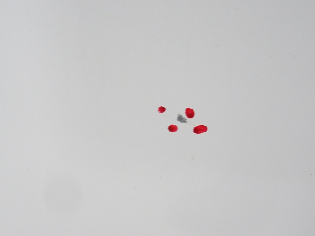 фото №6, Qashqai j10+ 2 lift дверь правое задняя 326-g 2013r