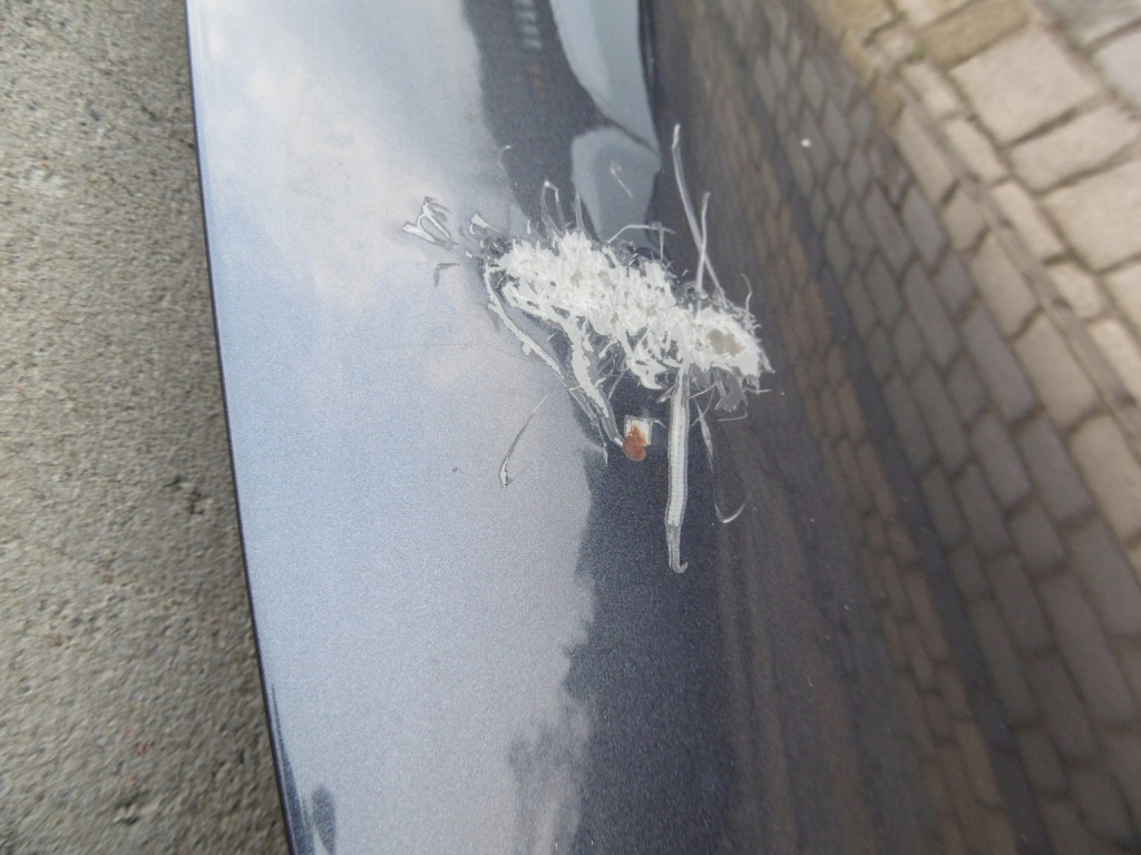 фото №3, Renault koleos i - капот