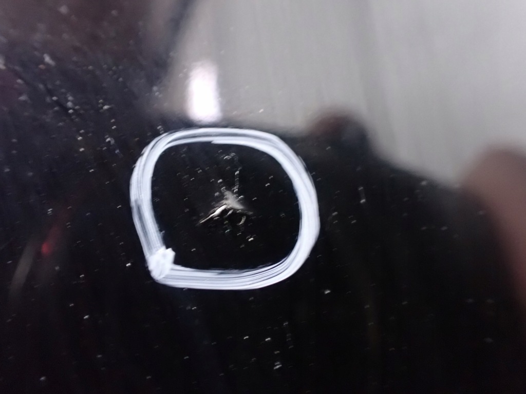 Купить Капот audi a4 b8 avant 2008r 3.0 tdi европа  l8l8 lz9y 10361