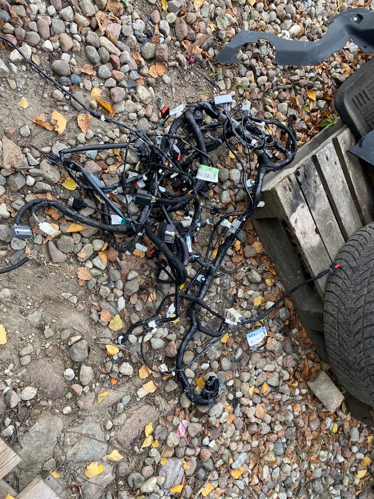 фото №11, Радіо навігація mustang shelby gt500 джгут