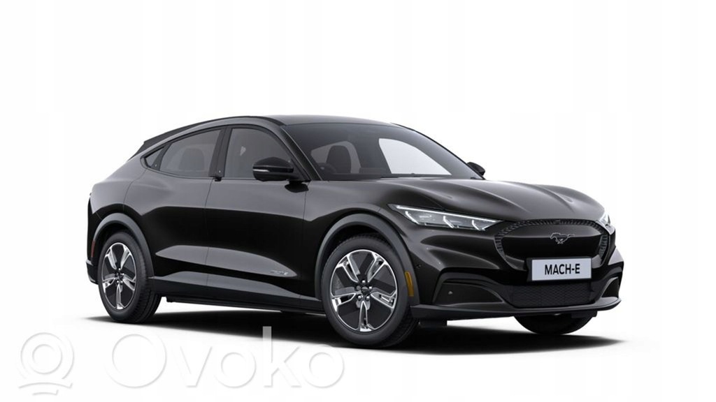 фото №3, Ford mustang mach-e 2023 молдинг рамка дверь правый перед lj8b-r201a18-aew