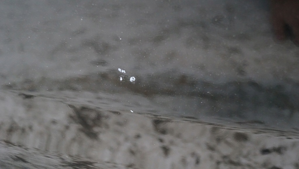 фото №11, Дверь левый задняя audi a4 b9 sedan