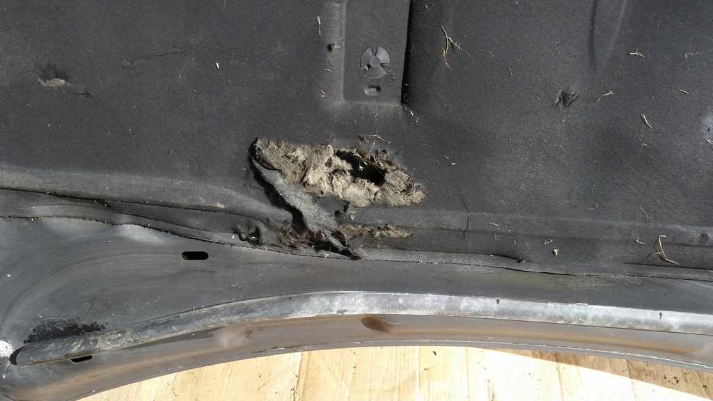 фото №6, Chrysler 300c 04-10 капот передня