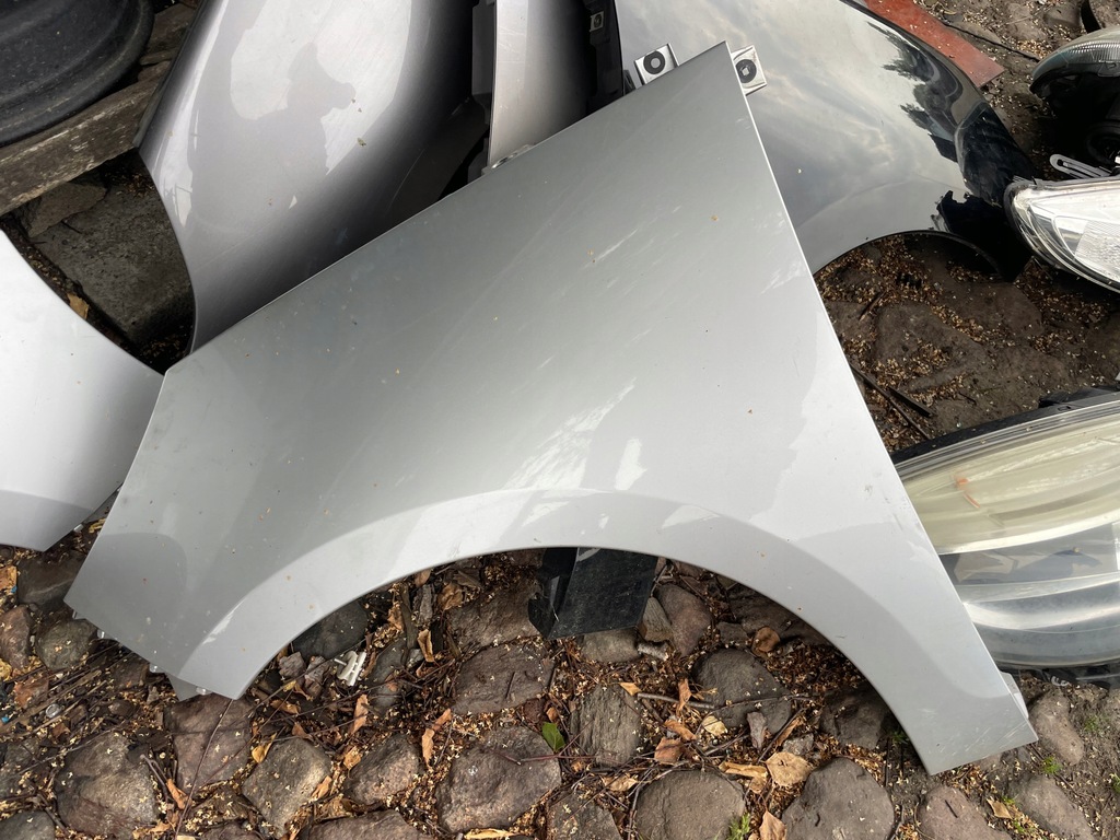 фото №1, Крыло scenic iii ted69