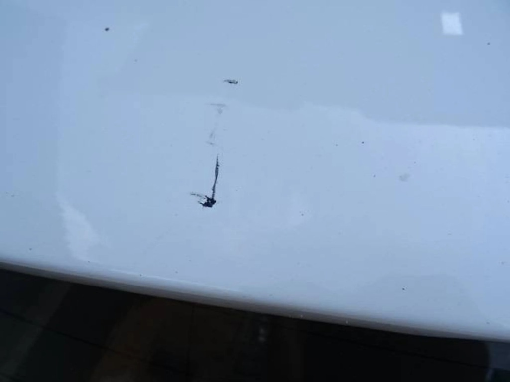 Крышка багажника задний  комплект . ford focus mk3 5b Киев