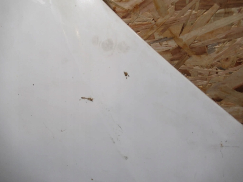 фото №6, Капот перед fiat doblo 05-10