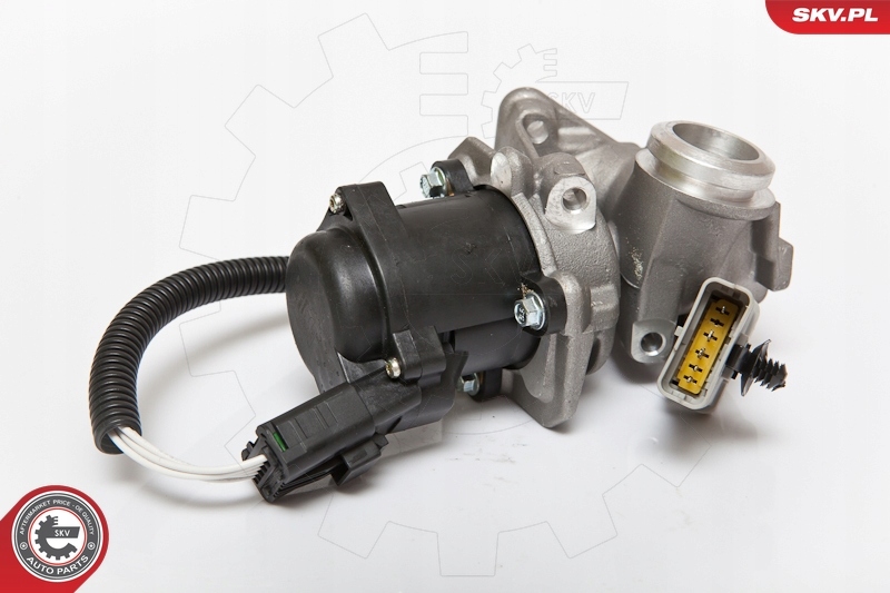 Купить Skv клапан egr ford focus 1.6 tdci