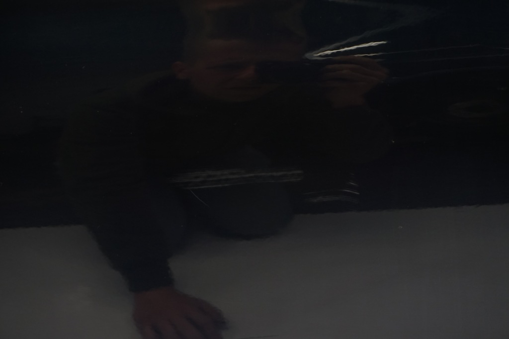 фото №12, Bmw 5 f10 f11 двері правий перед a89