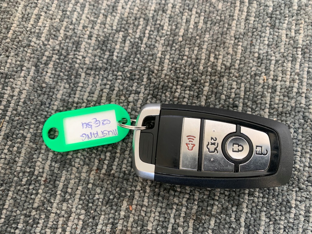 фото №1, Ford mustang mach-e rwd 21r ключ pilot оригинал