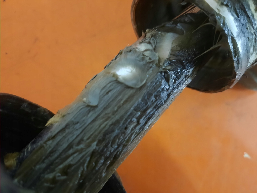 фото №5, Fiat doblo ii 2 10-22 трансмиссия рулевая рулевая рейка 00518857960