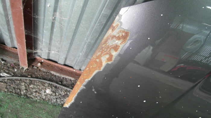 фото №3, Toyota auris капот