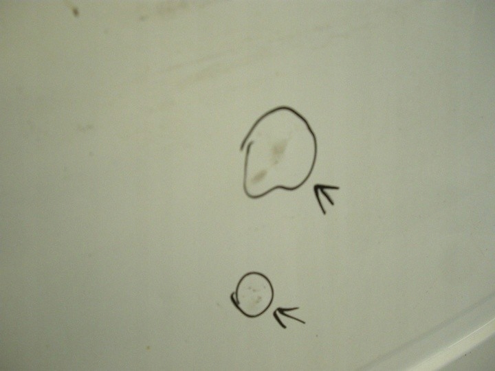 фото №3, Renault kangoo i дверь левая задняя