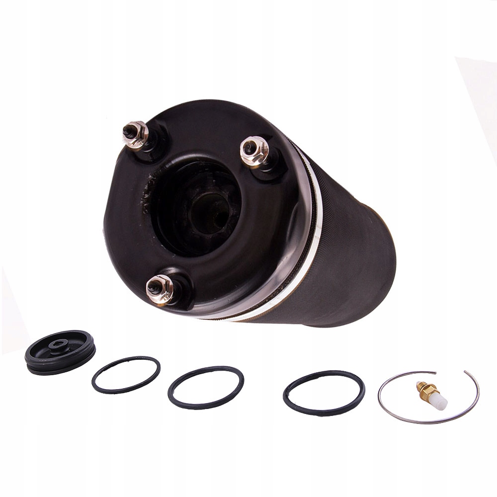 Купити Подушка пневмоподушка амортизатор підвіска перед mercedes w251 a2513203013