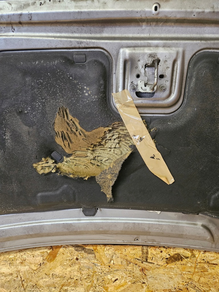 Капот крышка двигателя ford c max d1 с Разборки