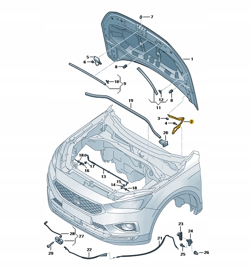 фото №1, Петля капот перед правый seat tarraco tiguan