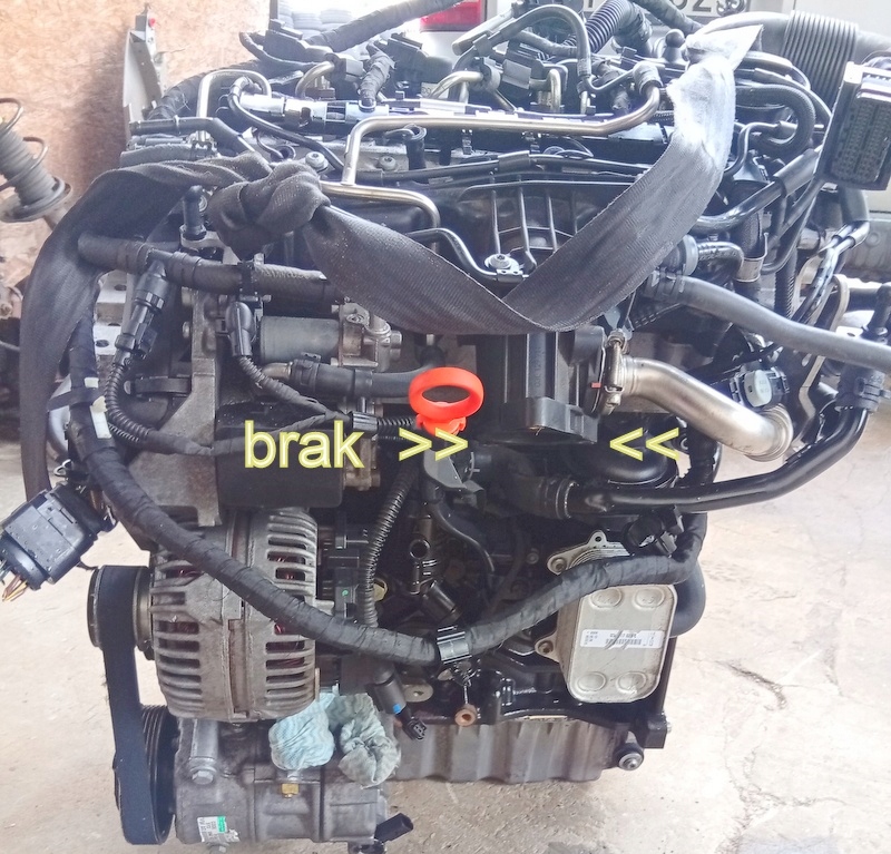 Cay 1.6 tdi двигатель комплектный  seat leon skoda octavia vw golf caddy Доставка