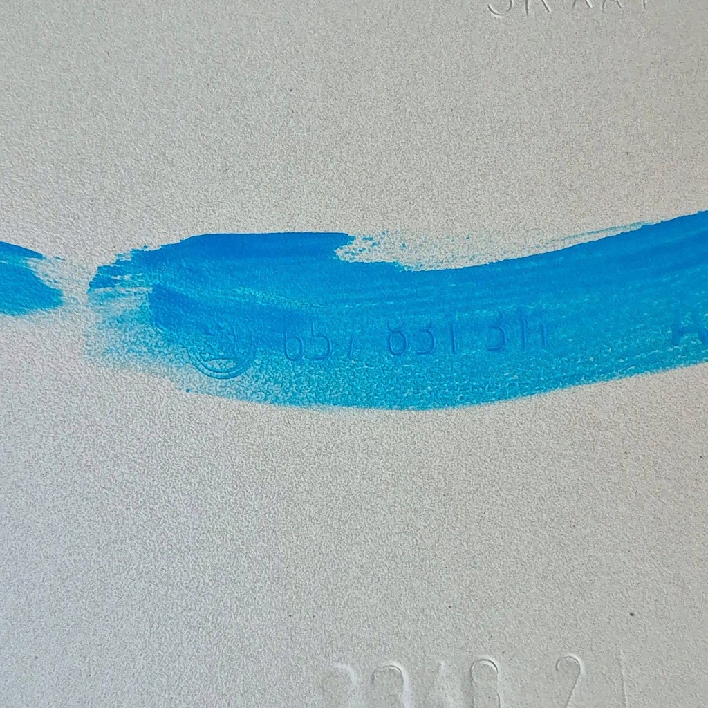 фото №14, Skoda scala 19- двері перед передні ліва