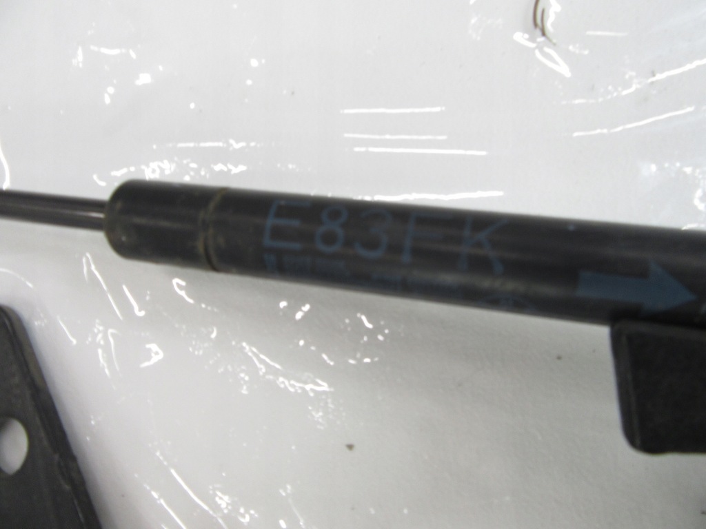 Петлі привід капот перед bmw e83 x3 комплект Зі Шроту