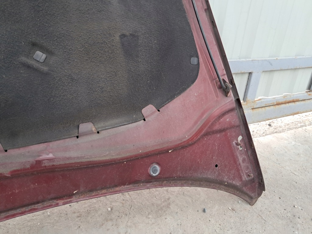 фото №14, Skoda octavia ii 2004- капот кришка двигуна решітка радіатора перед передня