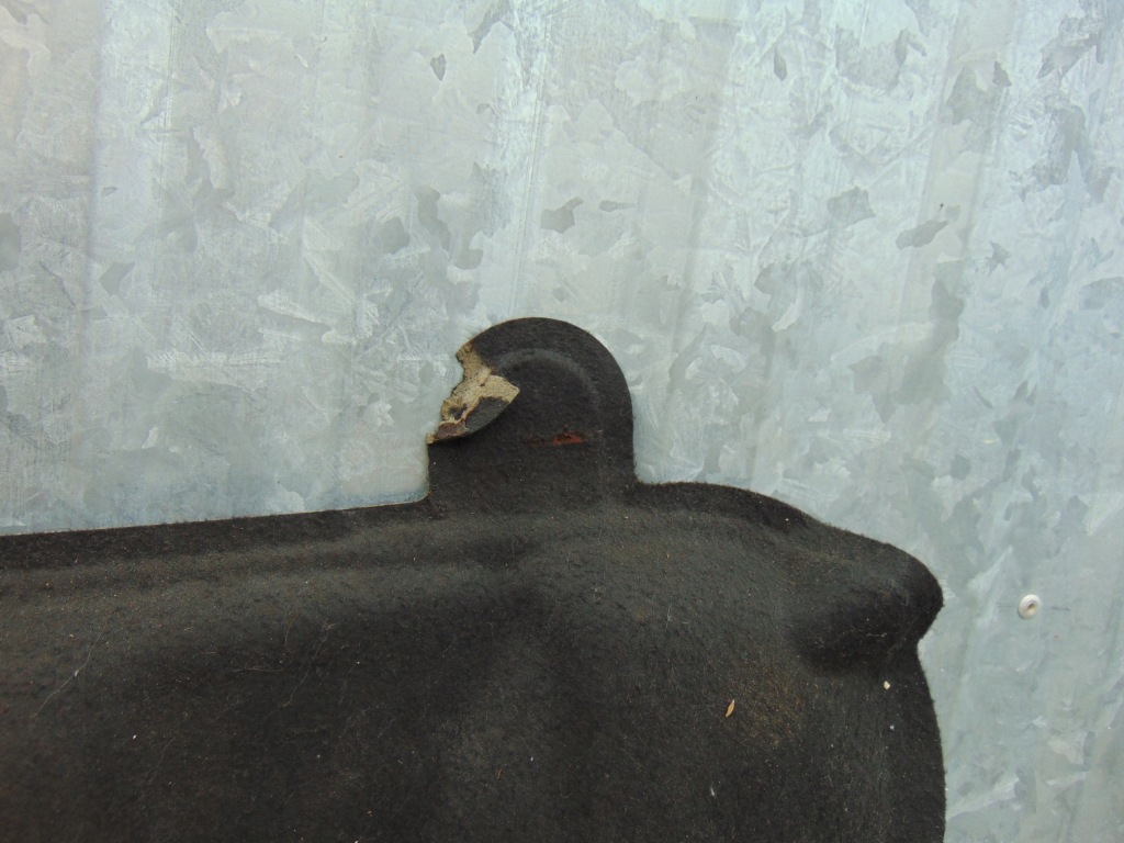 фото №4, Підкрилок шумоізоляція капот ford focus mk2 lift кліпси