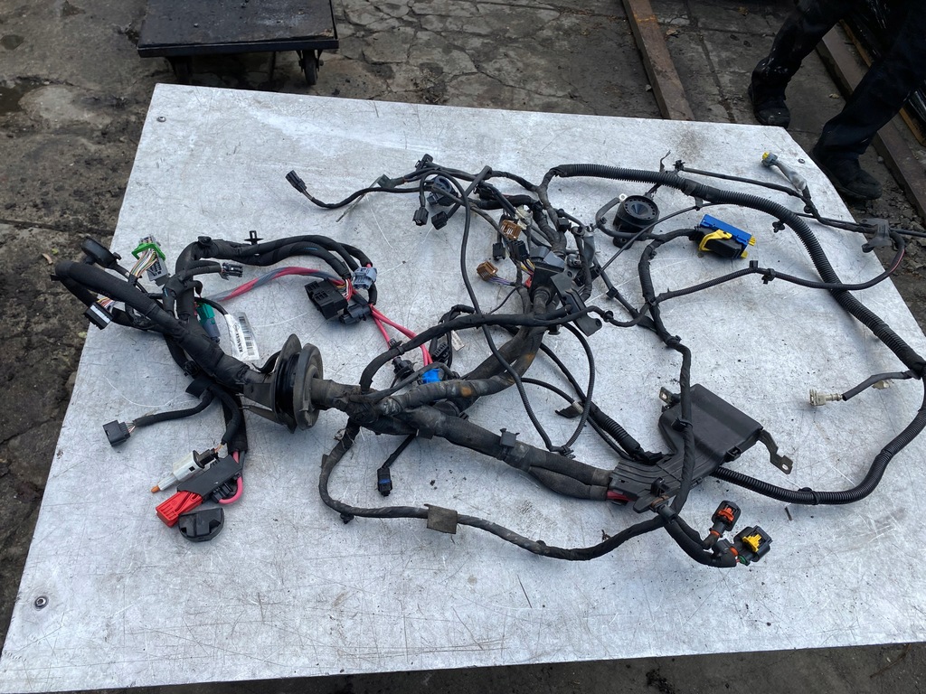 фото №4, Джгут електропроводка відсік двигуна renault grand scenic iii 2,0 dci
