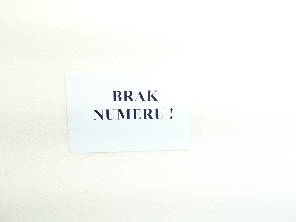 фото №6, Стрічка задній сидіння lexus gs iii 05-12