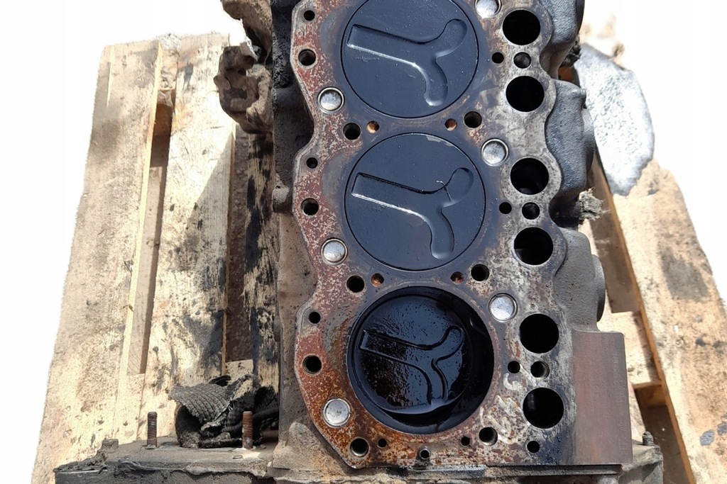 фото №1, Блок двигуна nissan terrano ii r20 td27e 2.7l дизель 92kw 1997