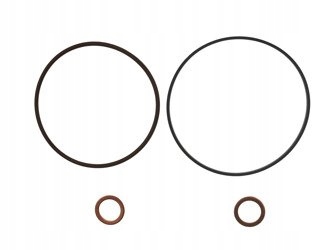 фото №1, Набір ремонтний vanos одномісний ущільнювачі m50