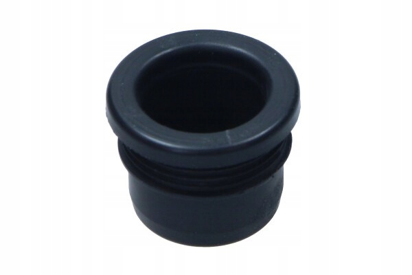 фото №6, Сітка насос розпилювача r twingo ii