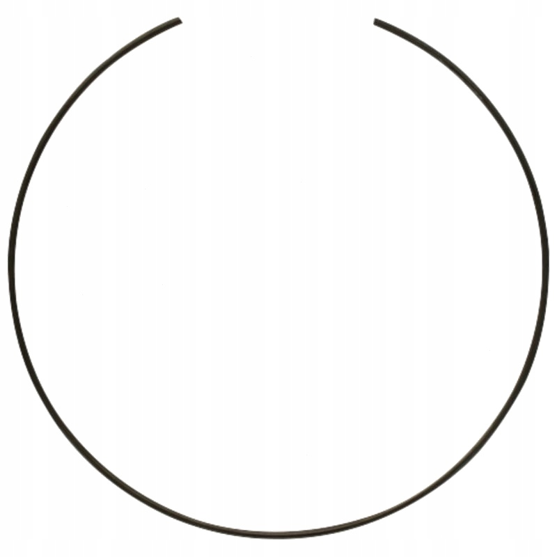 Купить Dana spicer кольцо защитный