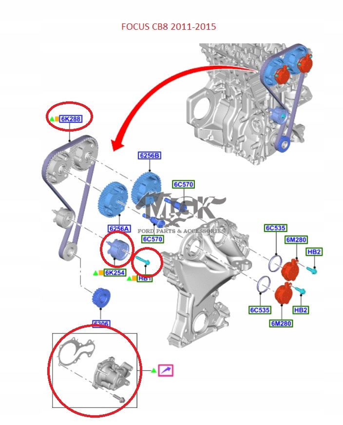 фото №13, Ремінь розподільного валу з насос wody 1.0 eb c-max b-max org