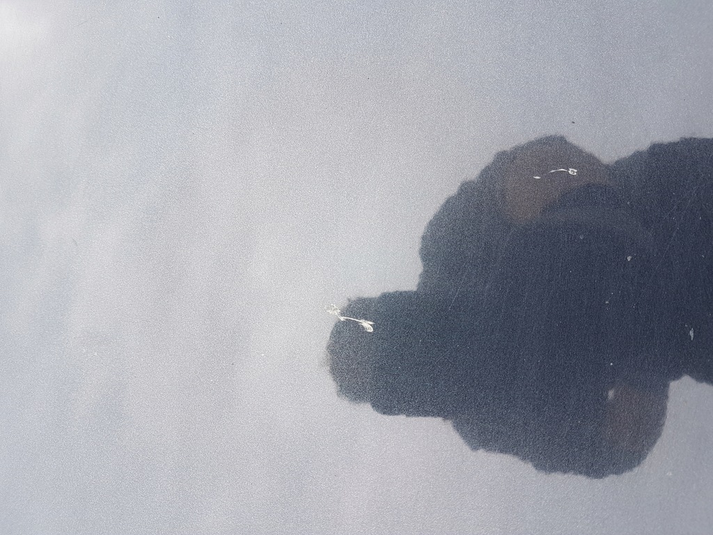 фото №9, Citroen c5 iii дверь левый перед передние eypc