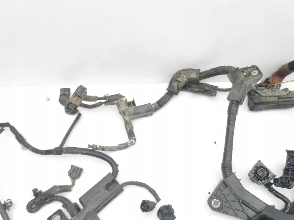 фото №5, Toyota corolla e210 e21 2021 жгут двигателя