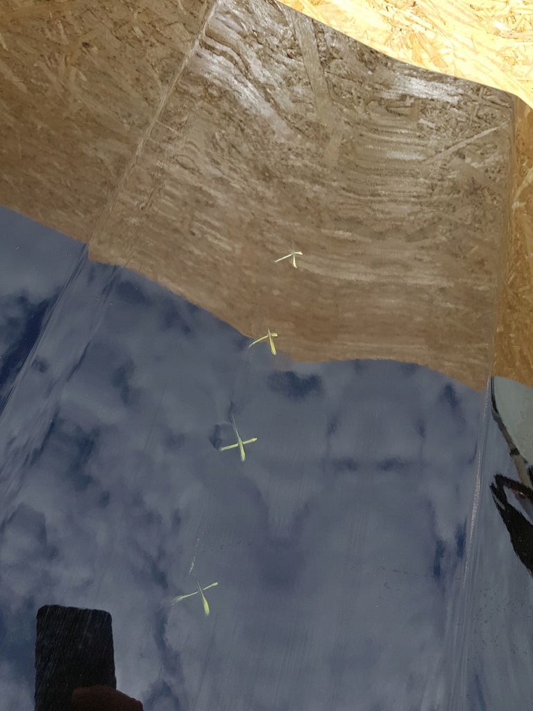 фото №8, Kia rio iv v 17- дверь правый задняя задние