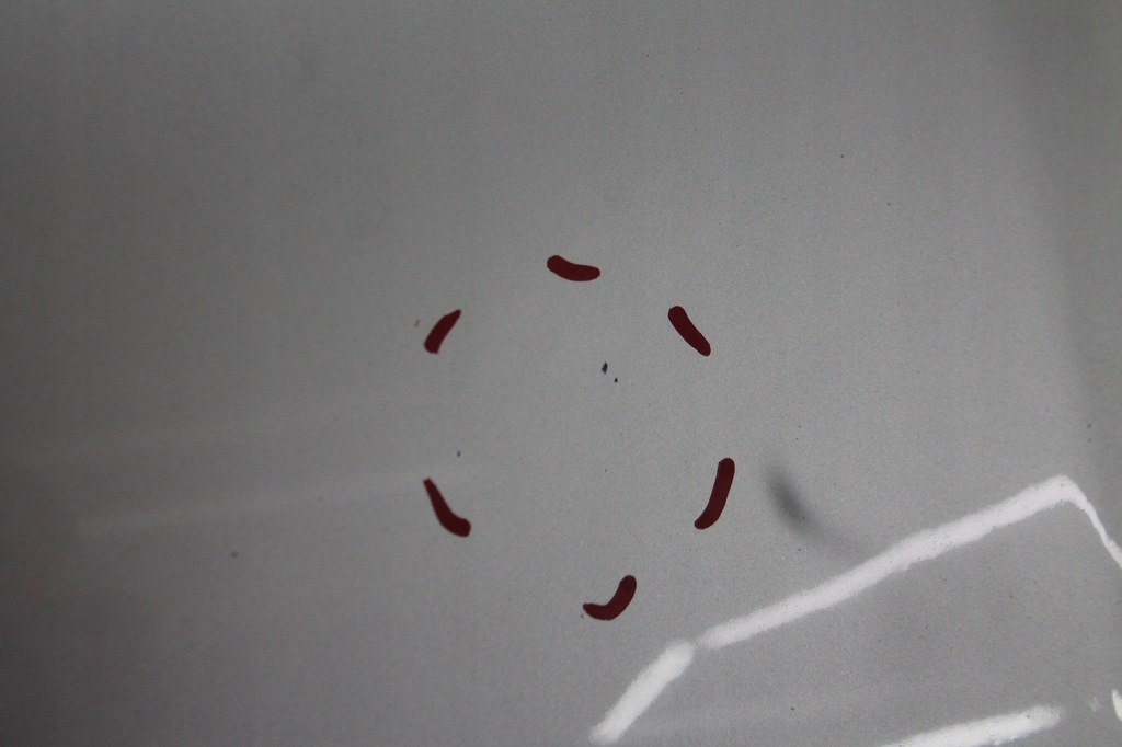 фото №7, Капот кришка двигуна chrysler town country 07-