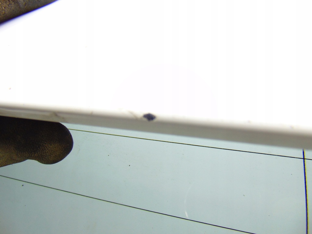 фото №12, Крышка багажника багажника задняя задняя audi q5 8r ly9c