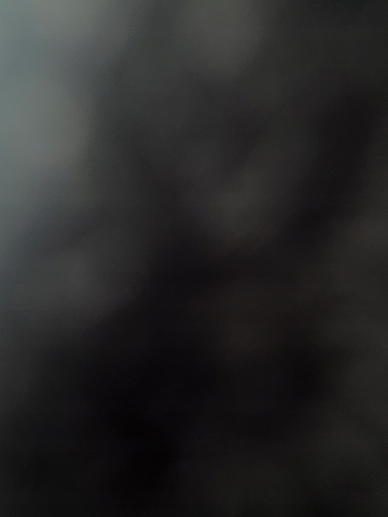 фото №1, Крыло pusta pusta