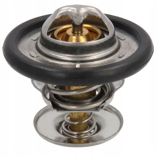 фото №1, Термостат ford c-max cougar escort v vi focus ii