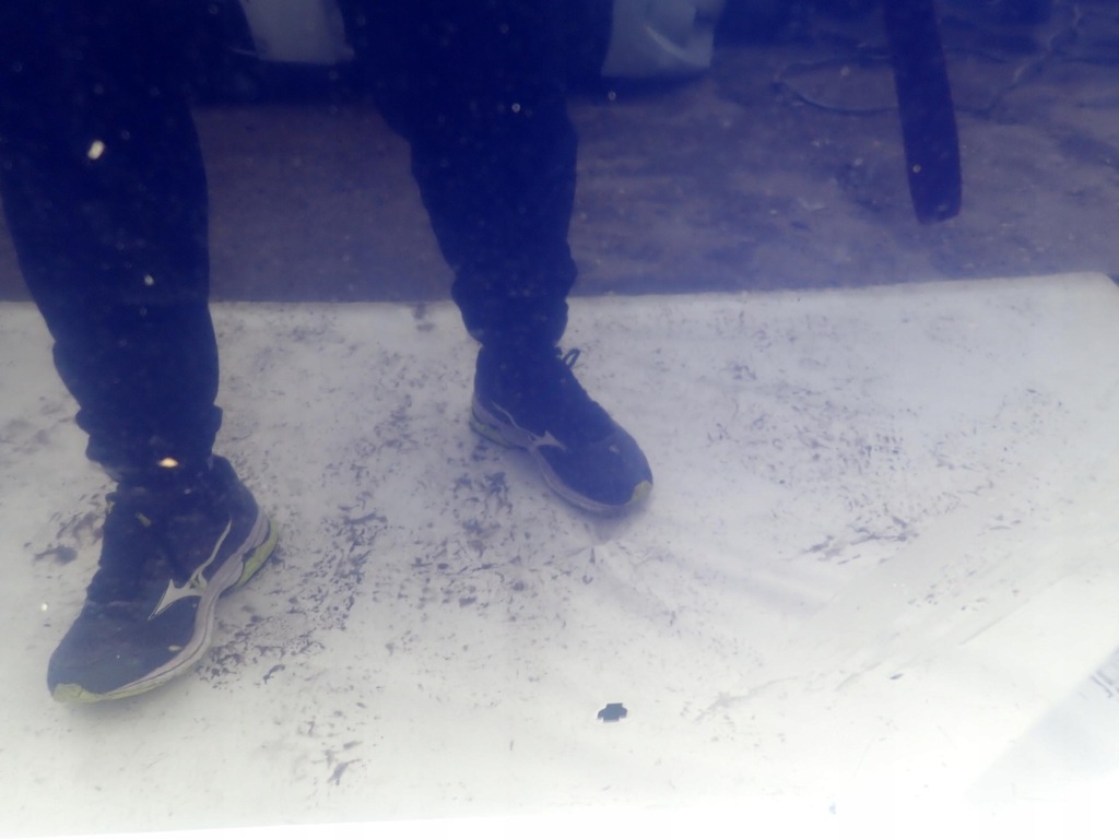 фото №6, Nissan x-trail t30 дизель капот крышка двигателя