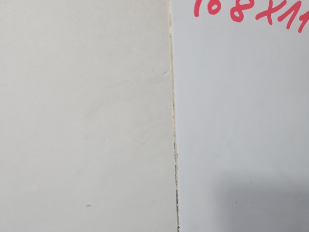 фото №10, Дверь перед правое iveco daily v vi 14- белый