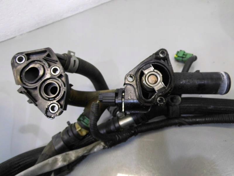 фото №4, Термостат корпус nissan qashqai i 1.5 dci