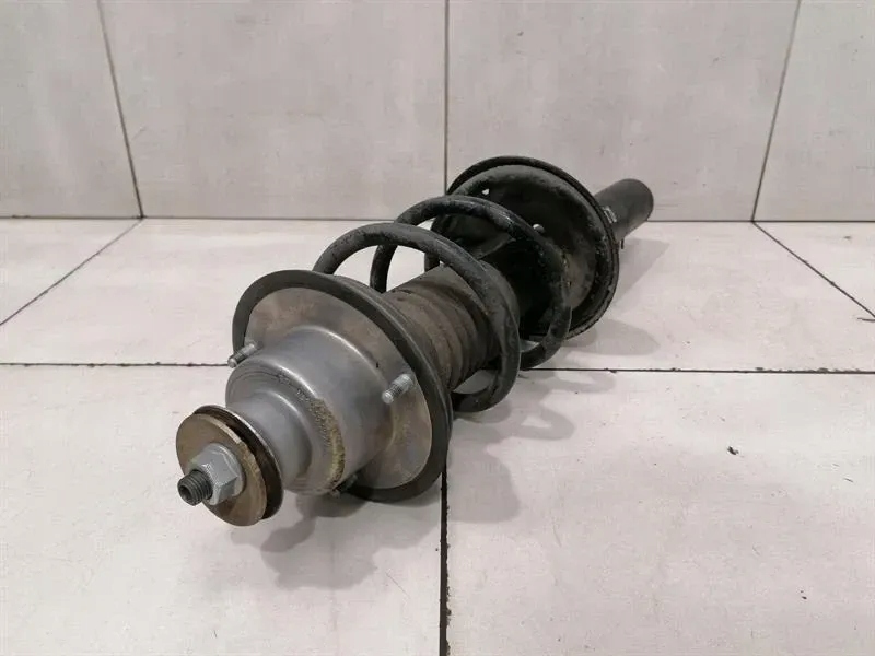 Porsche boxster 987 shock абсорбер задний 98733305116 левая Оригинал