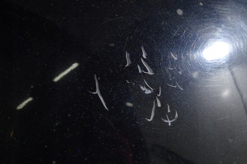 фото №14, Dodge journey fiat freemont капот алюміній mopar