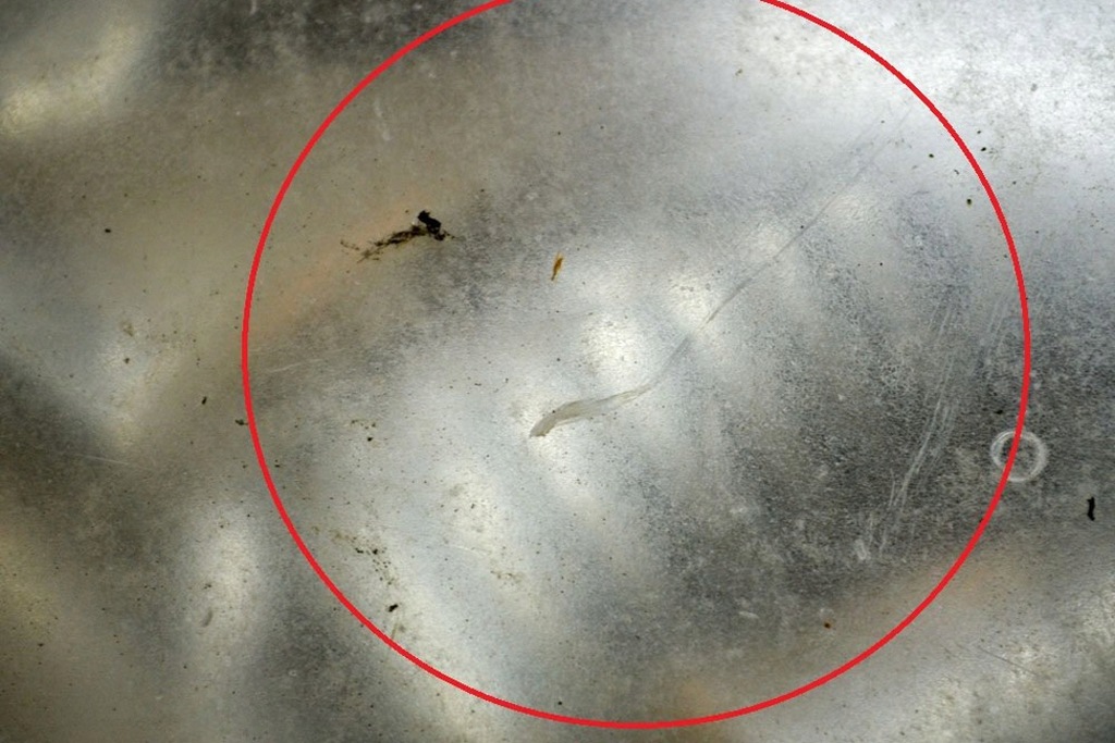 фото №6, Kia carens rs 2.0 crdi передній правий фара боковий 0k2fa-51020 83kw 2003