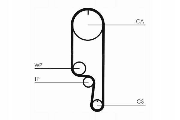фото №2, Continental ct1008 ремень распределительного вала