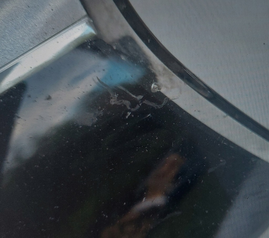 фото №7, Bmw 5 g30 g31 лампа права full led