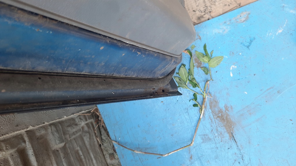 фото №14, Двері ліва задня kia carens ii